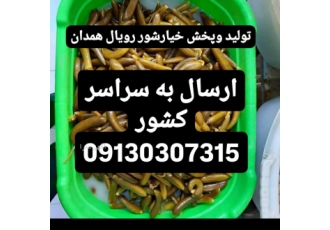 تولید ک پخش خیارشور همدان باسلام ما تولید کننده خیارشور رویال همدان
