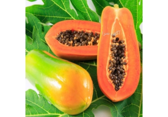 فروش بذر میوه های استوایی کمیاب و خاص 🌴 آیا رویای پرورش میوههای عجیب