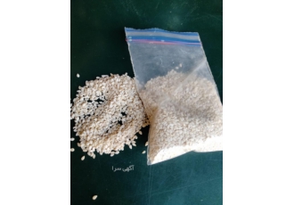کنجد اعلا پاکستانی | خالص و مرغوب 🌿 بهترین و باکیفیتترین کنجد اعلا