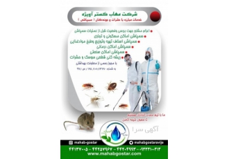 سمپاشی تخصصی و طعمه گذاری سوسک ساس و حشرات موذی | گواهی رسمی و ضمانت کتبی ✅