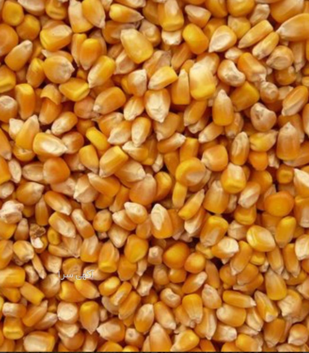 آگهی های خدمات بازرگانی - گیلان