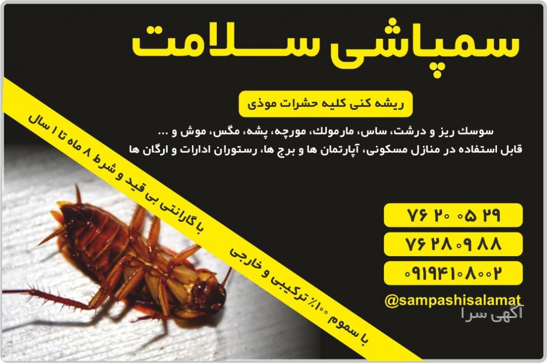 رنگ مو برای مو