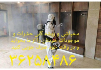 سمپاشی موریانه و کلیه حشرات در همه محیطی با ضمانت کتبی سمپاشی نگین شهر