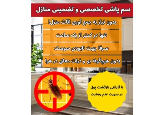ریشه کنی تضمینی سوسک ریز آلمانی (سوسک کابینت) با سم آلمانی 💯