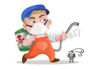 سمپاشی در بوشهر همه ی انسان ها کره زمین به طور کلی با مسعله دفع حشرات