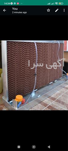 قیمت مرغ دیجی کالا