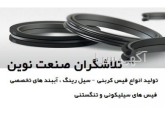 تولید و تامین انواع فیس کربنی سیل رینگ و آببندهای تخ تولید و تامین