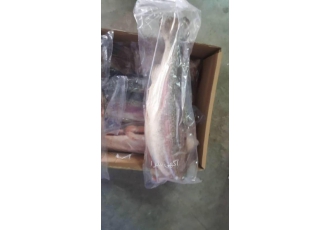 صادرات ماهی: فرآوری بسته بندی و تامین انواع ماهی با مجوزهای بین المللی 🐟
