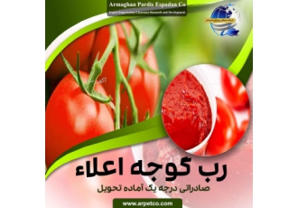 رب گوجه فرنگی صادراتی ممتاز | ارمغان پردیس اسپادان ✨ شرکت ارمغان پردیس