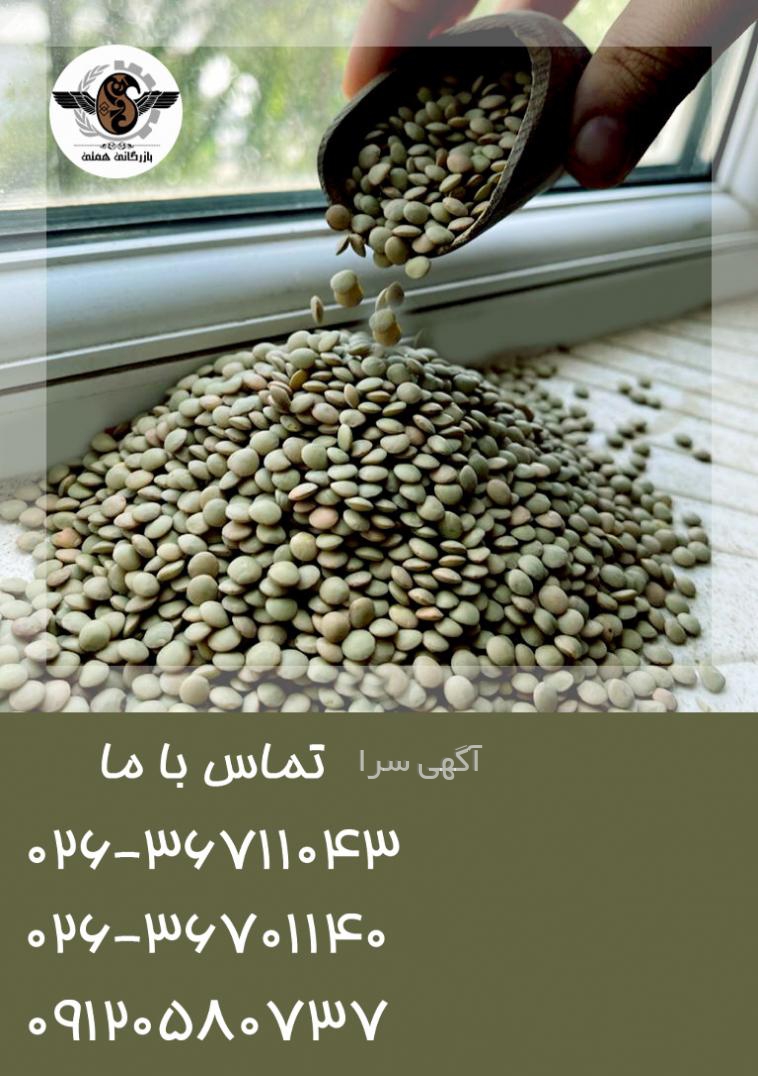 تخمه آفتابگردان هیبرید
