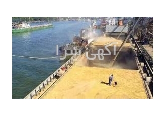 واردات و ترخیص تخصصی غلات شرکت بازرگانی ایرانیان غلات پارسه ترخیص تخصصی