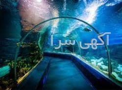 الی گشت تور