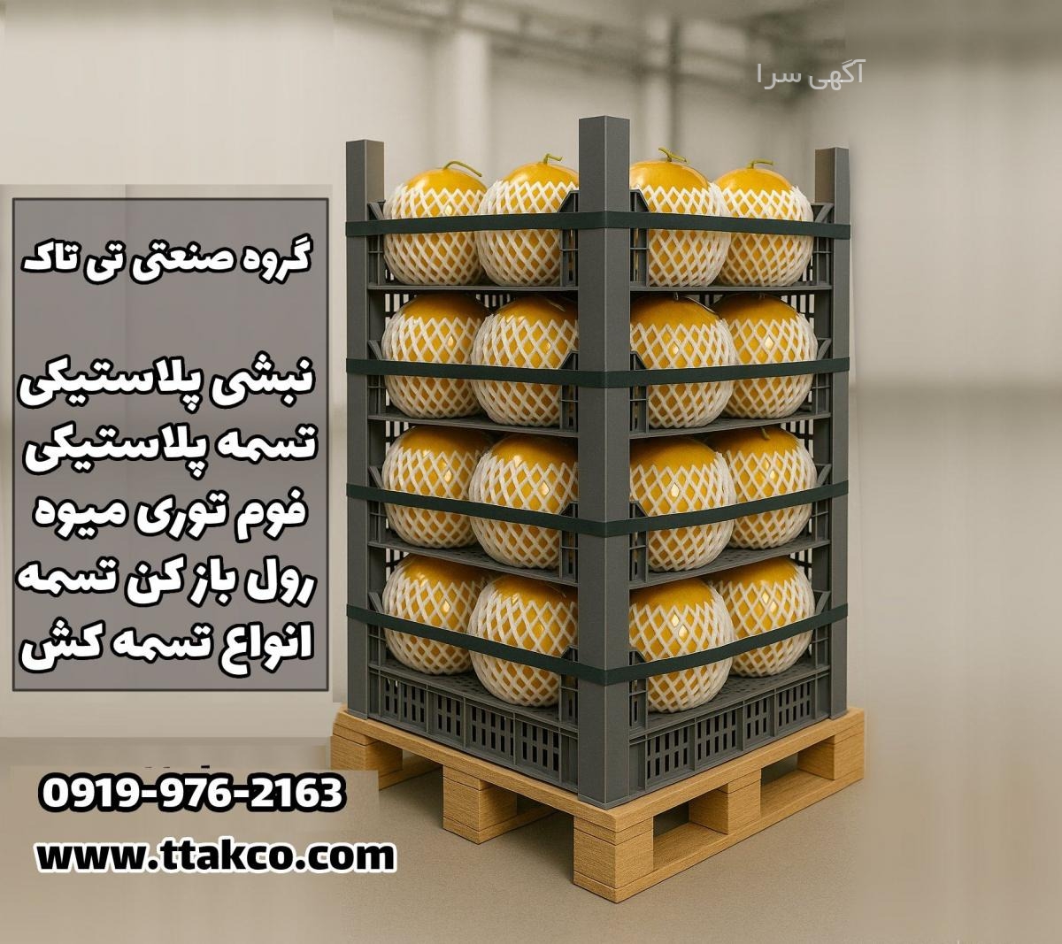گلخانه رز هلندی