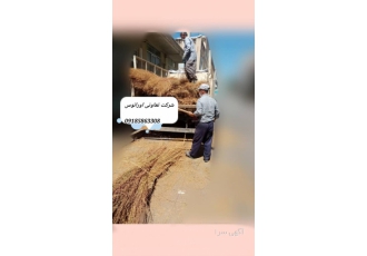 فروش عمده و جزئی جارو شهرداری، رفتگری و فراشی با کیفیت عالی 🧹