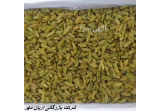 فروش عمده و تناژ خشکبار: کشمش تخمه آفتابگردان انجیر خشک با قیمت دست اول! 🌟