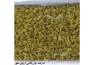 فروش عمده و تناژ کشمش تخمه آفتابگردان و انجیر خشک | خشکبار آریان مهر 🚚