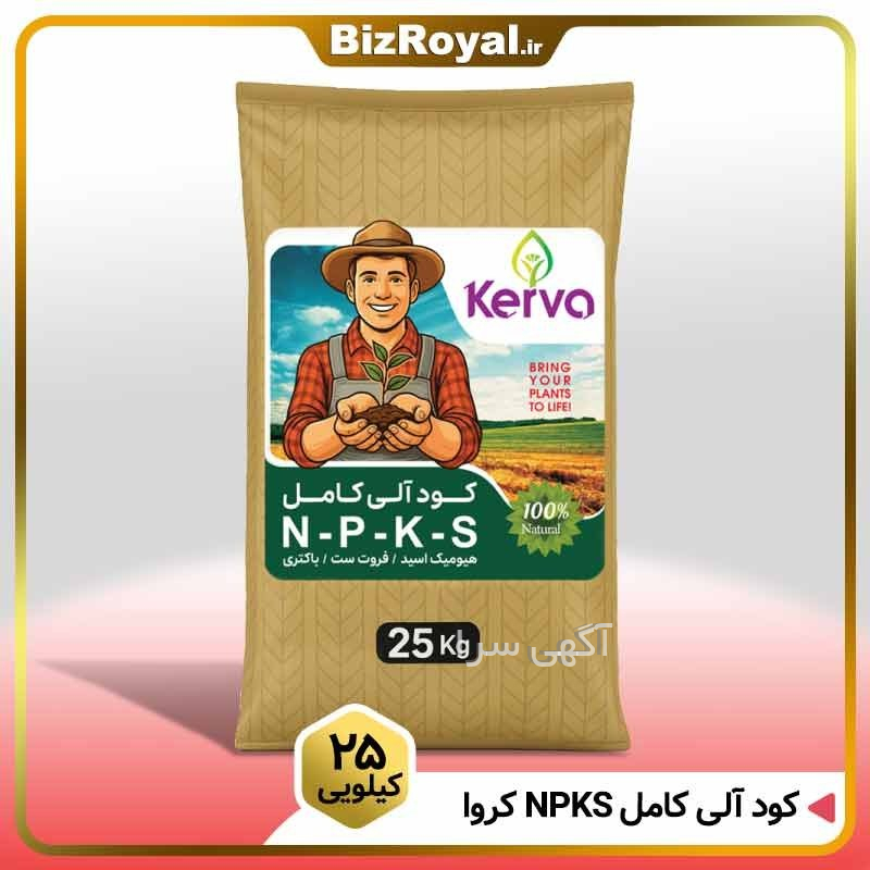 قیمت s21 fe 5g دیجی کالا