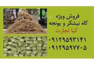 فروش ویژه کاه نیشکر و یونجه فروش عمده کاه نیشکر و یونجه با کیفیت درجه