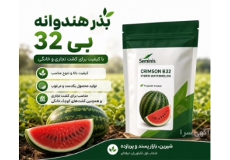 بذر هندوانه بی ۳۲ انتخابی عالی برای کشت تجاری و خانگی در ایرانشهر بذر