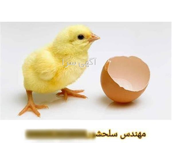 eform آموزش و پرورش