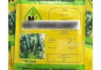 بذر خیار کیهان عالی برای فصل بهار و تابستان آیا به دنبال بذر مرغوبی
