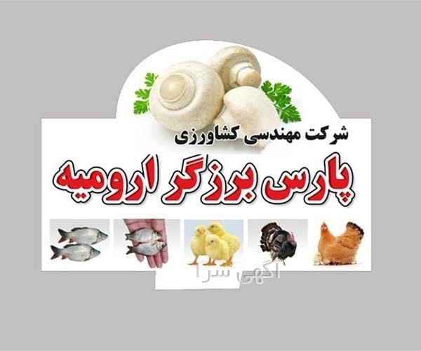 خدمات طراحی