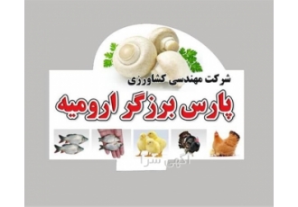 بهترین کمپوست‌های قارچ دکمه‌ای با افتخار به معرفی بهترین کمپوستهای