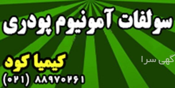 دیجی کالا برنج