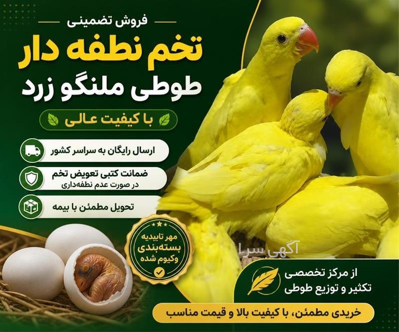 قیمت محصولات ایران خ