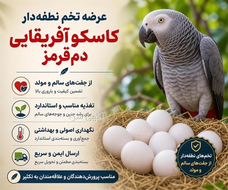 خدمات پس از فروش
