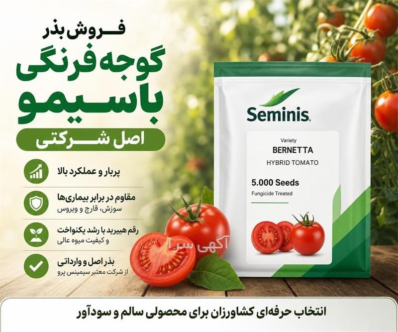 آگهی دیوار شیراز