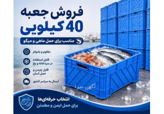 فروش باسکت و سبد ماهی با قیمت استثنائی در قشم فروش باسکت و سبد ماهی