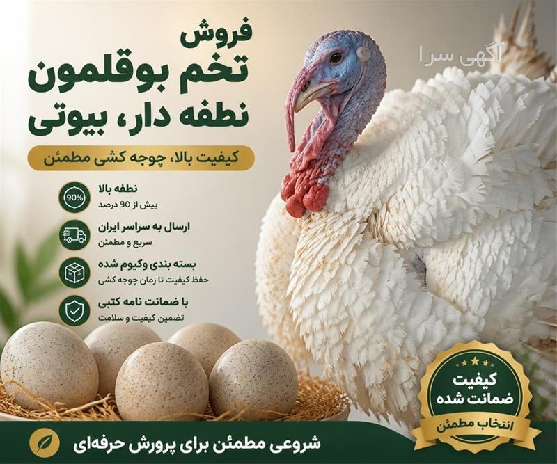 قیمت ad3e طیور