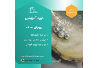 دوره آموزشی پرورش صدف خوراکی و مروارید ساز یکی از منابع پروتئینی