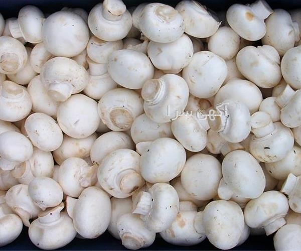 آموزش آگهی دیوار