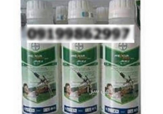 فروش قارچ کش اینفینتیو اصل با کارایی بالا و کیفیت ممتاز قارچ کش