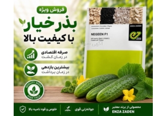 فروش ویژه بذر خیار با کیفیت ممتاز و قیمت مناسب در رشت خلاصه آگهی یکی