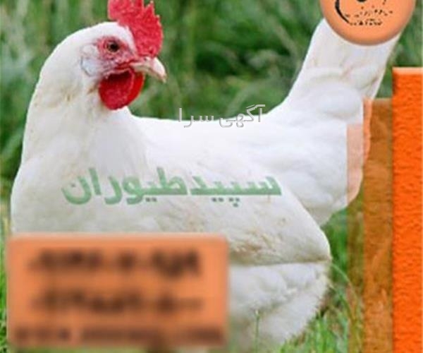 دستگاه توليد دستكش