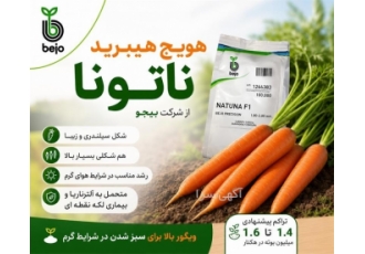 بذر هویج هیبرید ناتونا در اهواز هویج هیبرید ناتونا محصولی از شرکت بیجو