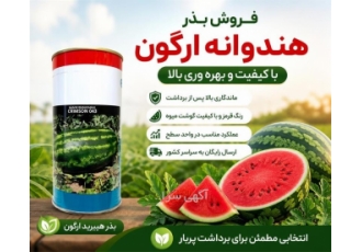فروش بذر هندوانه ارگون با کیفیت و بهره وری بالا در زیارتعلی بذر هندوانه