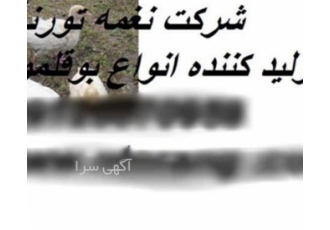 نکات کلیدی در پرورش بوقلمون و جوجه بوقلمون به شیوه صنعتی نکات کلیدی در پرورش بوقلمون و جوجه بوقلمون به شیوه صنعتی