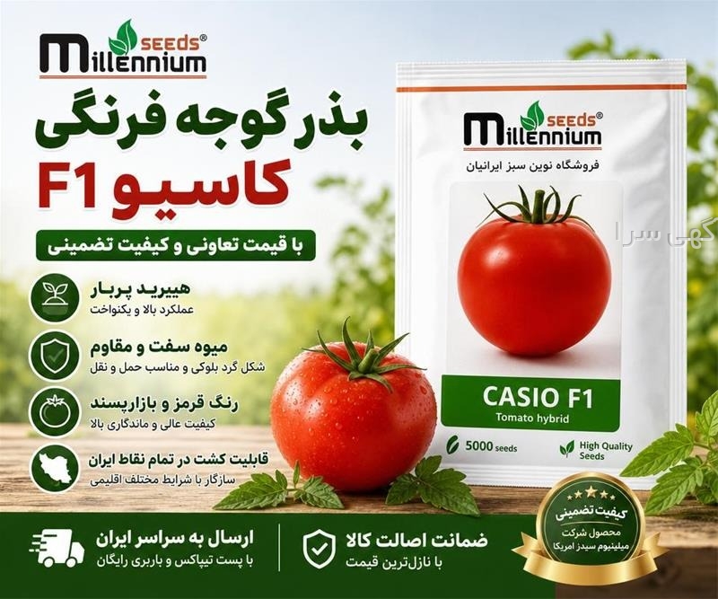 باربری شیراز
