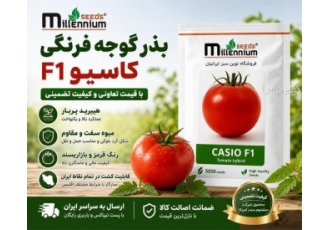بذر هیبرید گوجه فرنگی کاسیو با کیفیت تضمینی در شیراز بذر هیبرید کاسیو