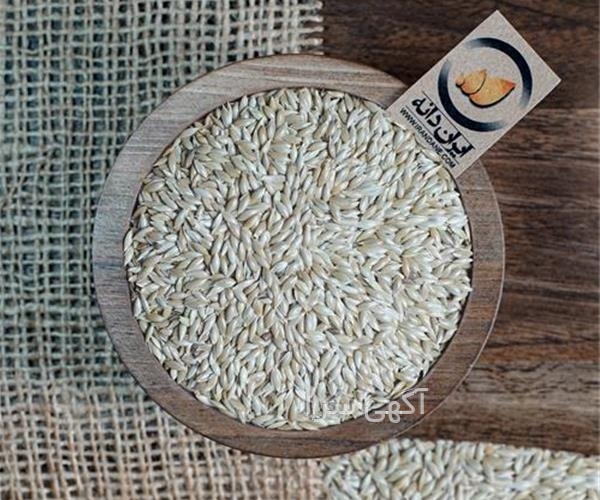 خرید دیجی کالا