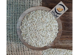 تامین و عرضه عمده تخم کتان با کیفیت عالی از قیمت مناسب اگر به دنبال