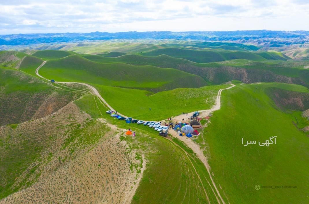 تولیدی گلستان