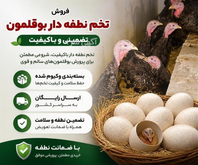 خدمات پس از فروش