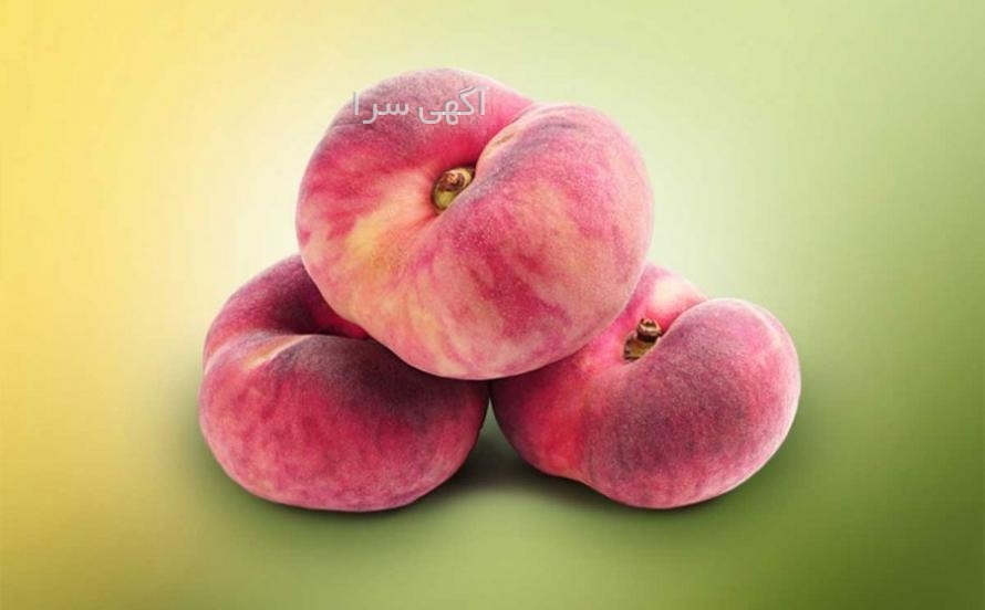 لباس پلنگی مجلسی
