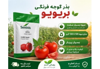 فروش بذر گوجه فرنگی بریویو در شیراز بذر گوجه فرنگی بریویو با ویژگی