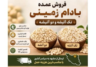 فروش عمده بادام زمینی تک آتیشه و دو آتیشه در مشهد به دنبال خرید عمده
